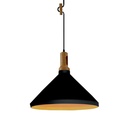 Hanging Lamp  5005B Black Loox