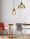 Hanging Lamp 253001 Amber Loox