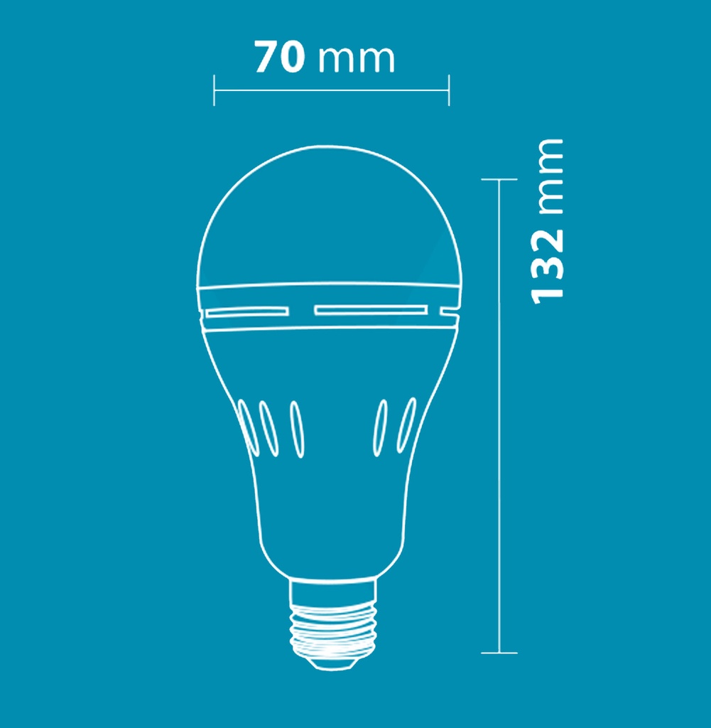 A Bulb 10W emergency  Loox