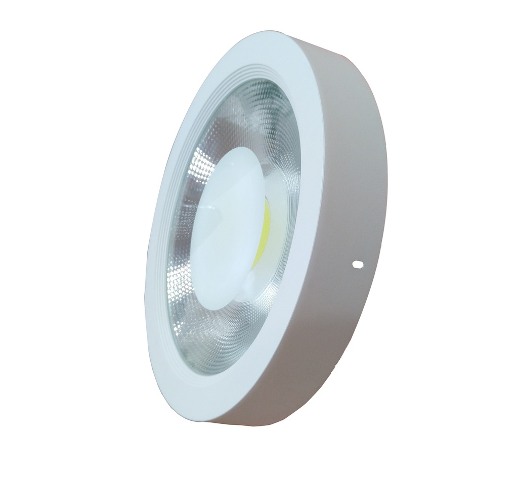 Cob Surface Downlight 30W E1 Loox