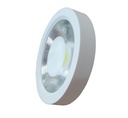 Cob Surface Downlight 40W E1 Loox