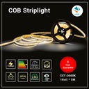 COB Strip Light 12V Loox