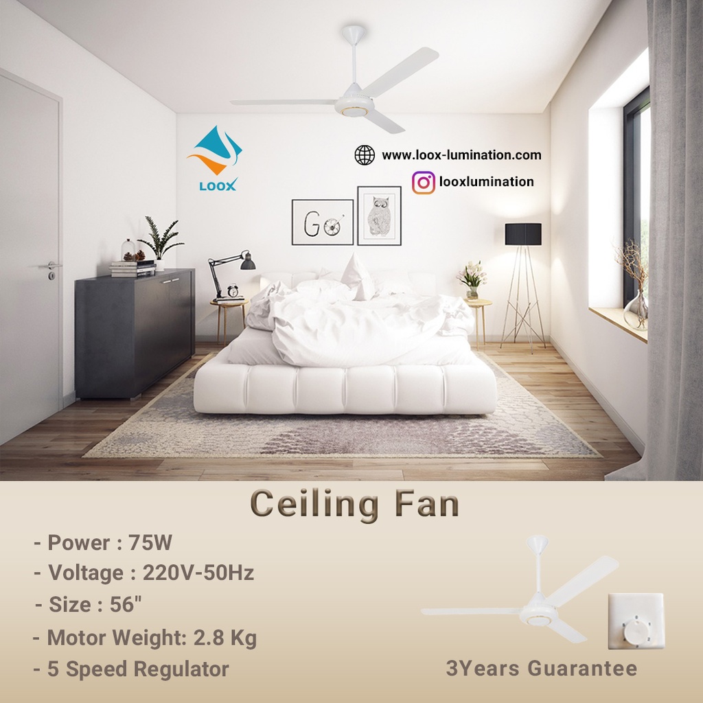 56" DS Ceiling Fan Loox