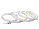 Strip Light 2835 120 12V Loox