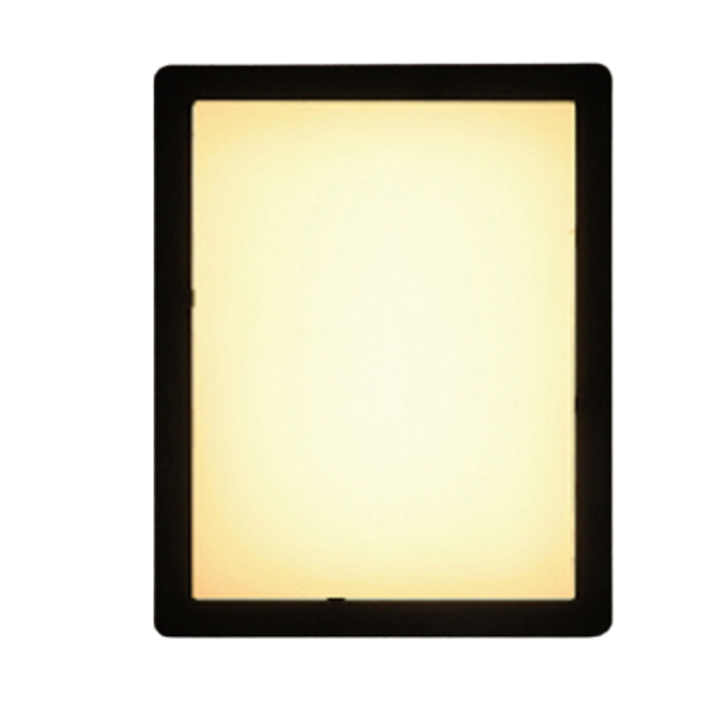 Wall Light 20W S0S Series N/M