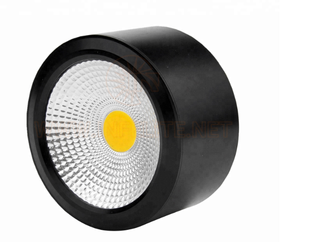 Cob Spotlight 12W Black Lumination