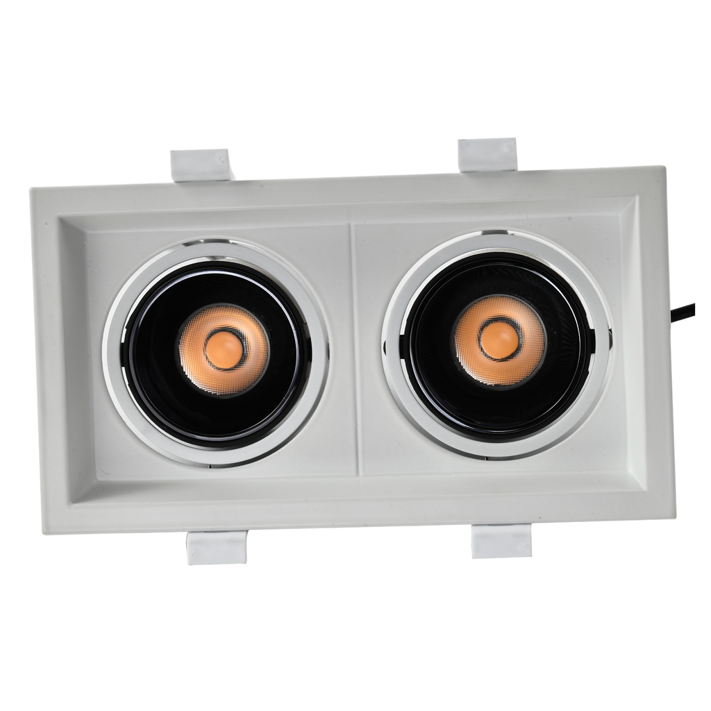 Cob Downlight 2*10w Series 1022F 200*110 mm Loox