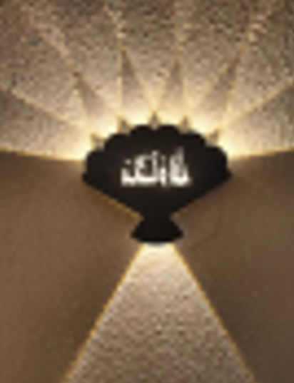 Wall Light 210*170mm Black+White 2223 Lumination