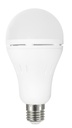 A Bulb 10W emergency  Loox