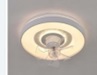 Ceiling Fan With Light 3cct 8061 Series Loox