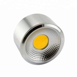 Cob Surface Spotlight 10W E8 Series Silver Lumination