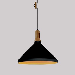 [LDHL365005B] Hanging Lamp  5005B Black Loox